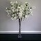 Bud Vase, Width 3", Height 15.75", Clear Tall Slant Cut Opening Gathering Concaved Glass Floral Container Centerpiece for Wedding Party Event Home Office Decor, 1 Piece